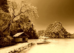 Sepia