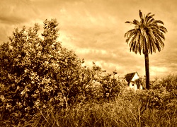 Sepia