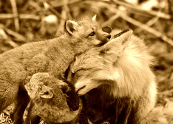 Sepia