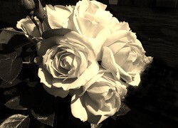 Szary + Sepia