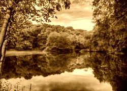 Sepia