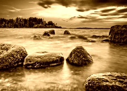 Sepia