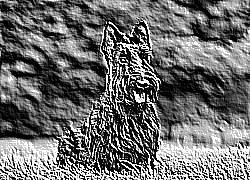 Skamielina