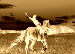 Sepia + Negatyw