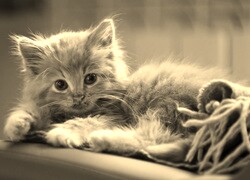 Sepia