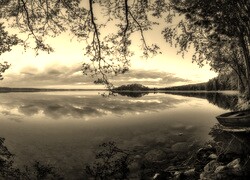 Szary + Sepia
