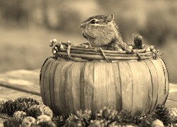 Sepia