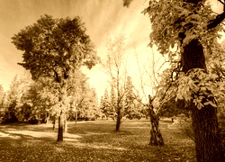Sepia