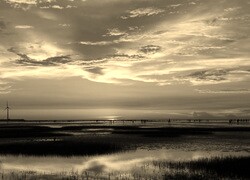 Szary + Sepia