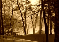 Sepia