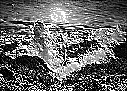 Skamielina