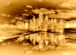 Sepia + Negatyw