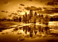 Sepia
