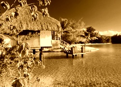Sepia