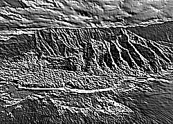Skamielina