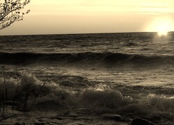 Sepia