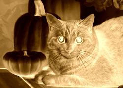 Sepia + Negatyw