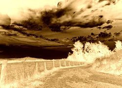 Sepia + Negatyw