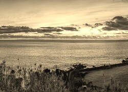 Szary + Sepia