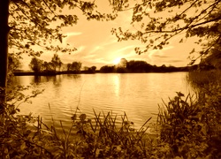 Sepia