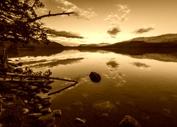 Sepia