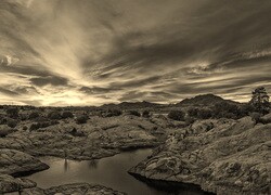 Szary + Sepia