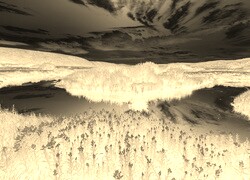 Sepia + Negatyw
