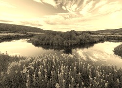 Szary + Sepia