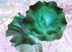 Negatyw