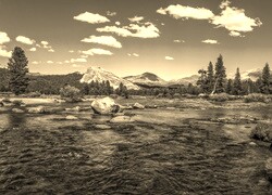 Szary + Sepia