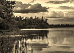 Szary + Sepia