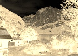 Sepia + Negatyw