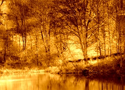 Sepia