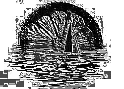 Skamielina