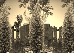 Szary + Sepia