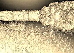 Sepia + Negatyw