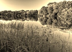 Szary + Sepia