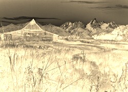 Sepia + Negatyw