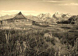 Szary + Sepia