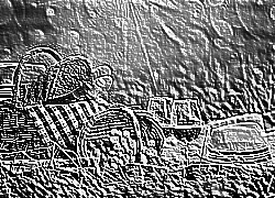 Skamielina