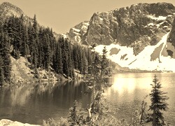 Szary + Sepia