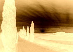 Sepia + Negatyw