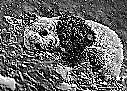 Skamielina