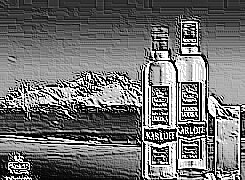 Skamielina