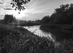 Szary + Sepia