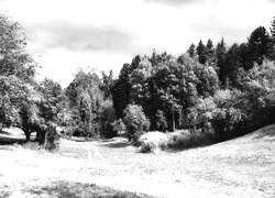 Szary + Sepia