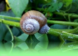 Oryginalny obrazek
