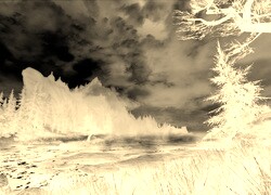 Sepia + Negatyw