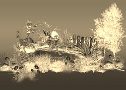 Sepia + Negatyw