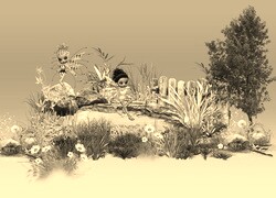 Szary + Sepia